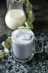 Glass cup of tasty Charcoal Latte and eucalyptus branch on dark background