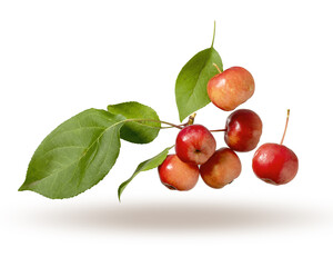 Red ripe apples with leaves are flying in the air. Apples and leaves isolated on a white background.