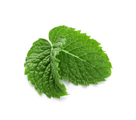 Refreshing green mint leaves on white background