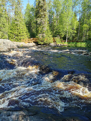 View of the bubbling waterfall with brown water on the Tokhmayoki River in Karelia from the ecological trail