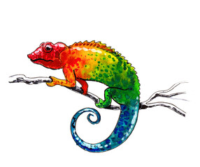 Rainbow colored chameleon on a tree branch. Ink and watercolor drawing