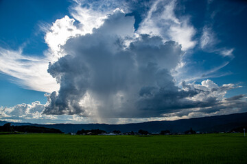 Naklejka na ściany i meble A huge thundercloud that appeared on the paddy field