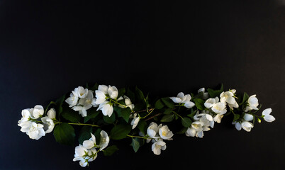 Flat Lay, postcard for death, funeral. Beautiful White Jasmine Flowers