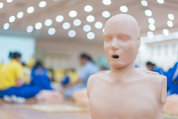 model dummy for CPR training medical in class