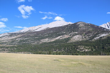 Fototapeta premium Wide Mountain, Jasper National Park, Alberta