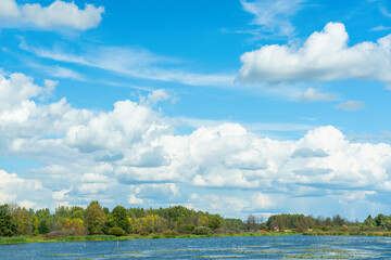 A sunny day on the river in summer, a forest and a red roof of a house in the distance.