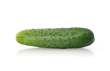 One Green Cucumber Vegetable Isolated