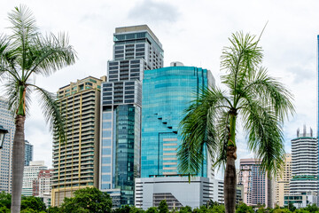 Fototapeta na wymiar Bangkok skyline from Benjakitti Park in the city's downtown core