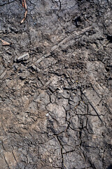 background of cracked dry black earth illuminated by the sun, vertical