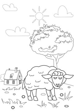 Cute sheep farm animals coloring book educational illustration for children. Rural landscape colouring page. Vector black white outline cartoon character
