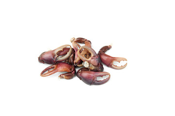 Fresh crab claws isolated on white background. Crab meat can be cooked in a variety of menus such as chili paste, kang om, stir-fried curry powder.Freshwater crab
