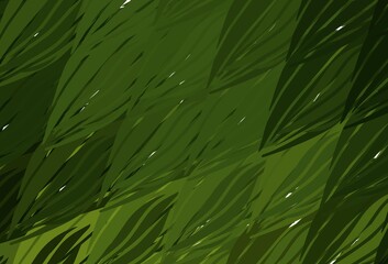 Dark Green vector background with curved lines.