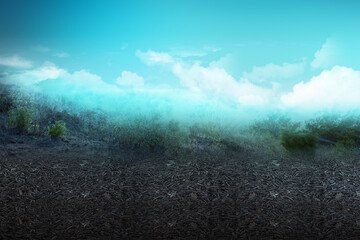 Field