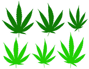 Fototapeta na wymiar Green Cannabis Leaves Isolated