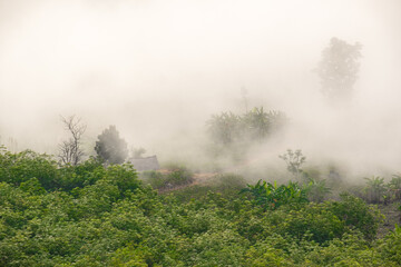 Surreal landscape of morning foggy..Morning clouds at sunrise.Landscape of fog and mountains of northern Thailand.