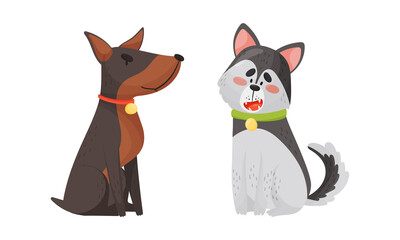 Funny Dog with Collar as Four-legged Friend and Domestic Pet Vector Set