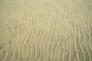 Fototapeta na wymiar Beautiful wavy beach sand close up