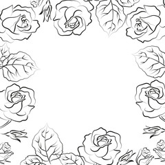 Elegant outline drawing frame of rose's flowers, vector illustration.