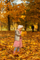 Little girl child in fashionable clothes with a bouquet of yellow fall leaves walks in the golden autumn park