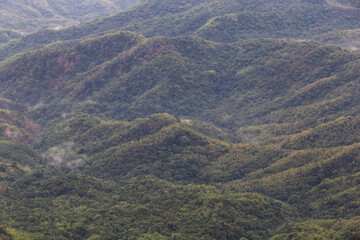 Mountain with moving mist for nature background at Phu Thap Buek, Phetchabun, Thailand