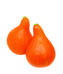 Two pumpkins isolated on white background. Orange ripe pumpkins couple.