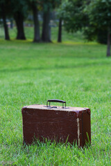 An old suitcase stands on the grass in a beautiful green place.