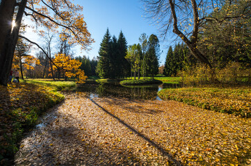 View of city park