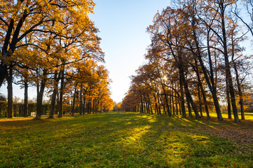 View of city park in autumn