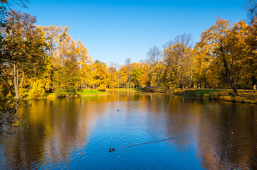 View of city park in autumn