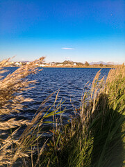 Bacoli Lake with Vesuvio background