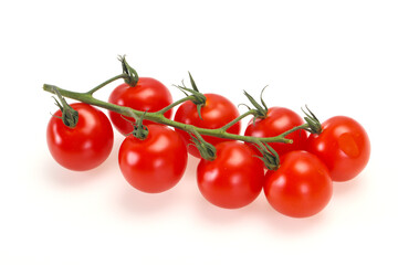 Ripe tomatoes on the branch