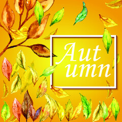 Beautiful autumn sale card leaves background