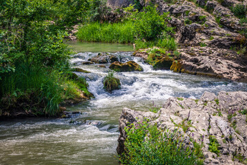 fast winding small mountain river flows among stones and gra
