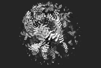 Light Gray vector abstract pattern with leaves.