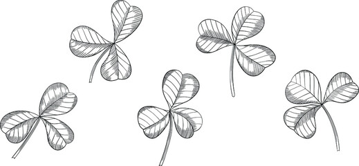 Shamrock leaves isolated on white. Hand drawn vector illustration. Eps10