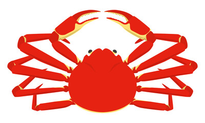 蟹のイラスト