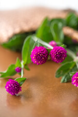 千日紅と籠バッグ