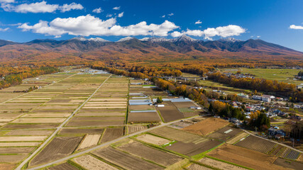 Coniferous forests and paddy fields at the foot of snow-capped mountains A