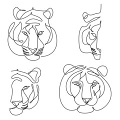 Tiger vector animal wild one line design. Chinese new year 2022 year of the tiger, line art