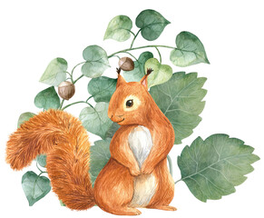 Woodland stories watercolor illustration squirrel © Нат Мошк