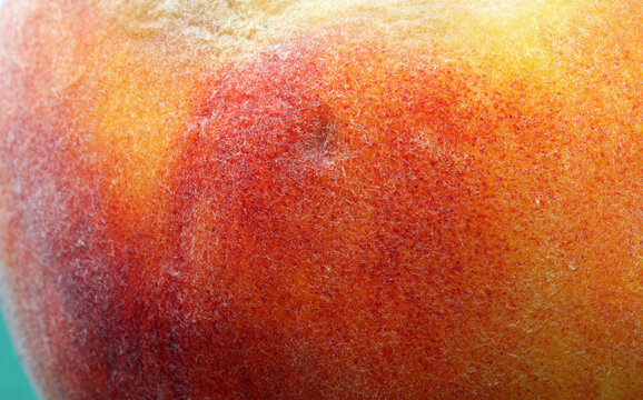 close up organic peach detail