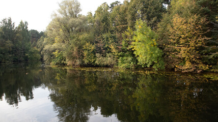 Amazing natural landscape of the forest lake and autumn forest.