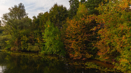Calm autumn pesage of colorful trees and lakes.