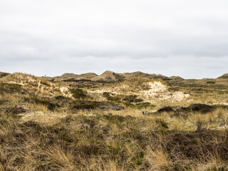 Fototapeta na wymiar Sand dune landscape called Ladder to heaven on the island of Amrum, Germany.