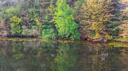 Reflection of the autumn forest in the water of a deep lake.