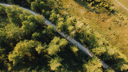 Aerial view of green fields and coniferous forest in the Alps. Pathway in the mountains, directly above.