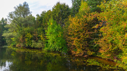 Fototapeta na wymiar Colorful autumn forest on the lake earplug