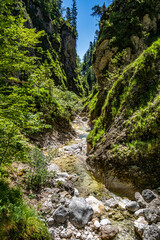 Fototapeta na wymiar The wild-romantic Almbachklamm in the Berchtesgaden Land is a popular excursion destination in Bavaria, Germany