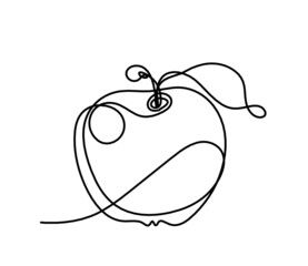 Drawing line apple on the white background