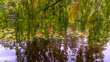 Beautiful autumn landscape with a lake and colorful trees